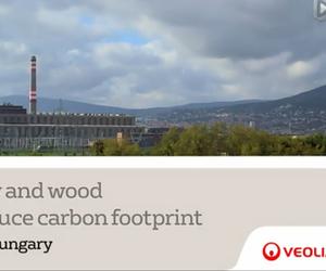 idtchina
- Pécs: straw and wood to reduce carbon footprint Thumbnail