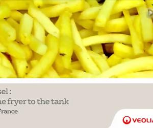idtchina
- Limay: biodiesel from the fryer to the tank Thumbnail