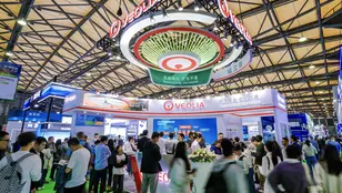 China-IE-EXPO-2025-BANNER.jpg